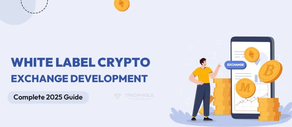 White Label Crypto Exchange Development - Complete 2025 Guide - Trioangle Blog